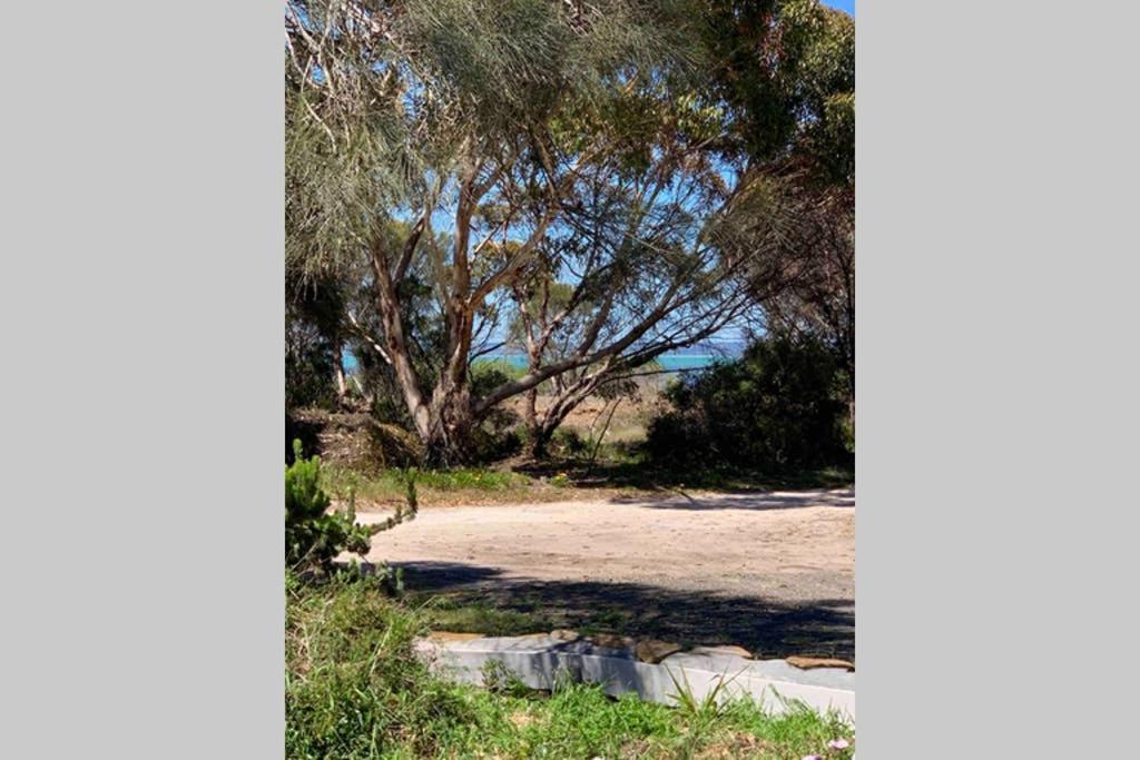 Leeward 'Tranquil Beachfront' Кингскот Экстерьер фото